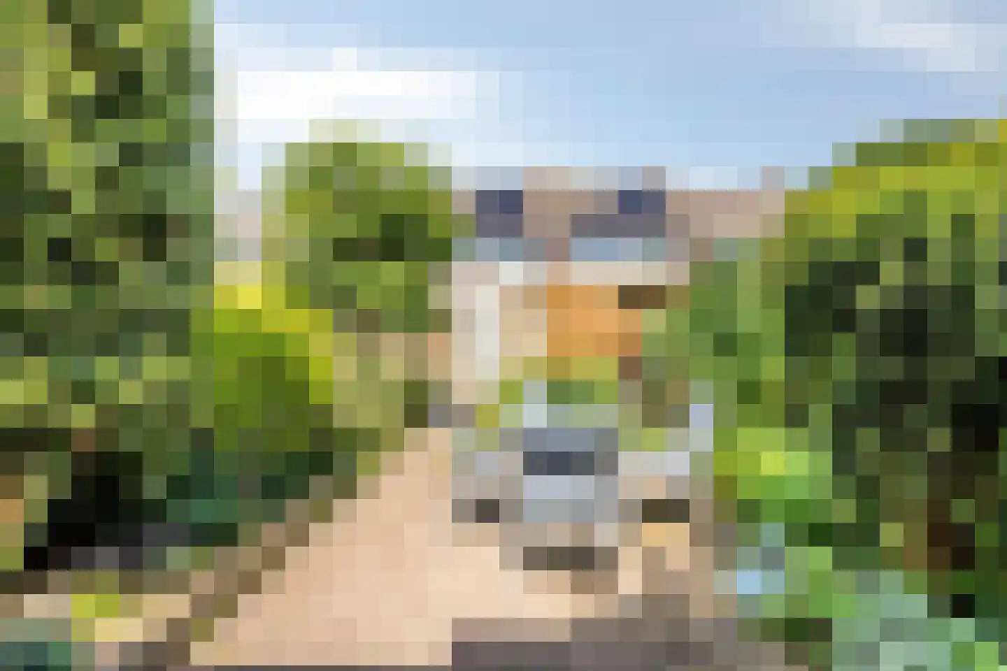 Maasstraat 24 Alkmaar thumbnail 34