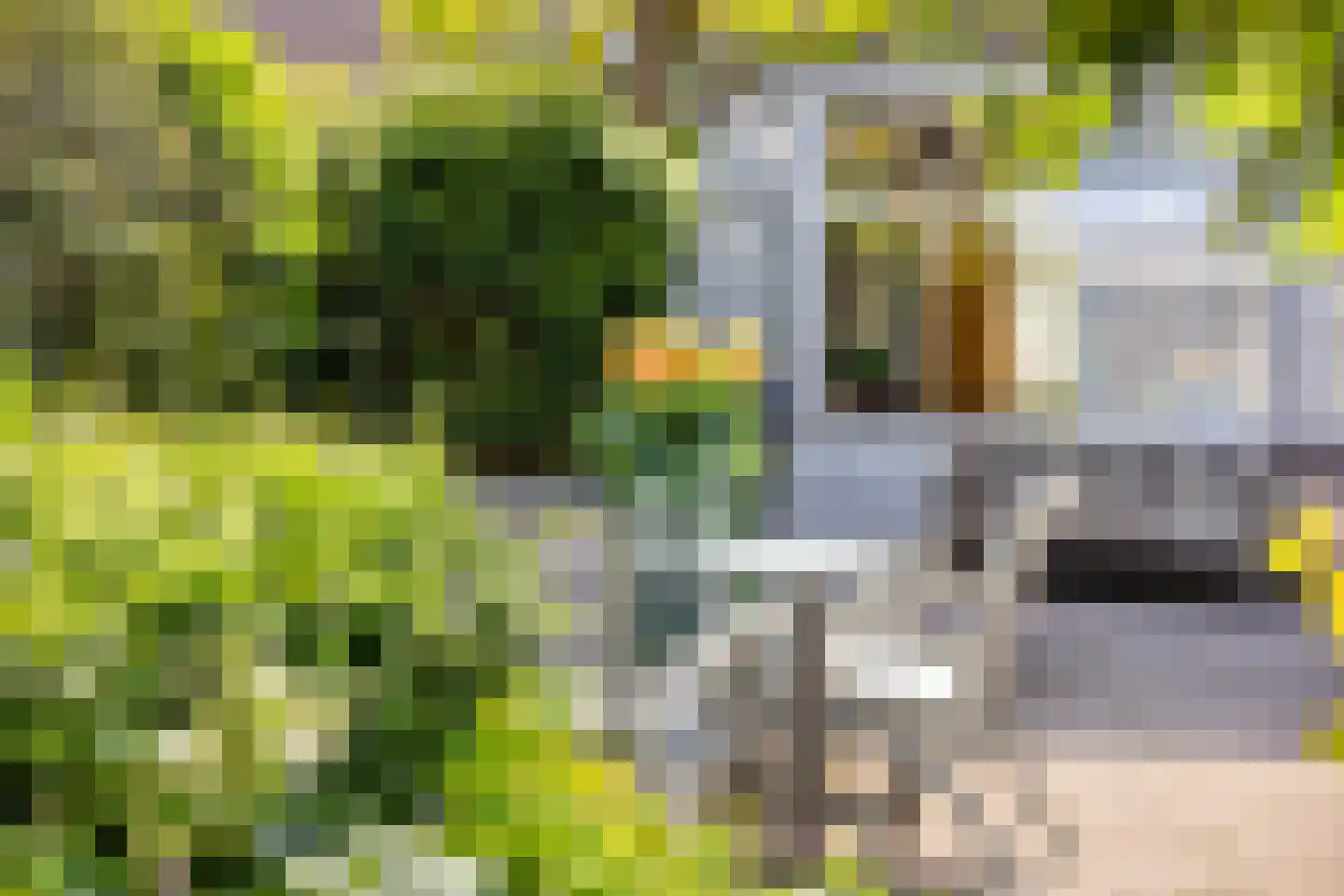 Maasstraat 24 Alkmaar thumbnail 37
