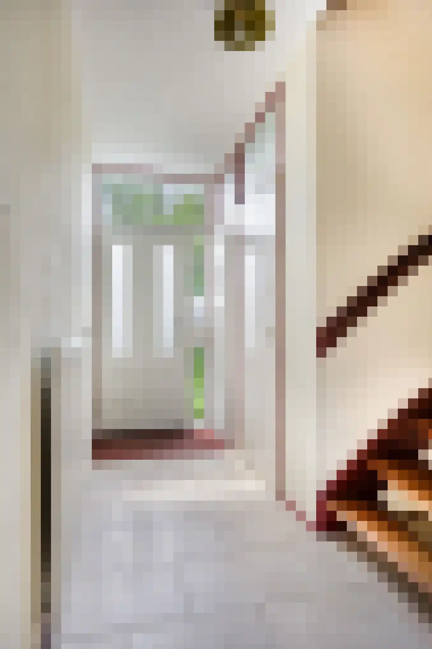Maasstraat 24 Alkmaar thumbnail 8