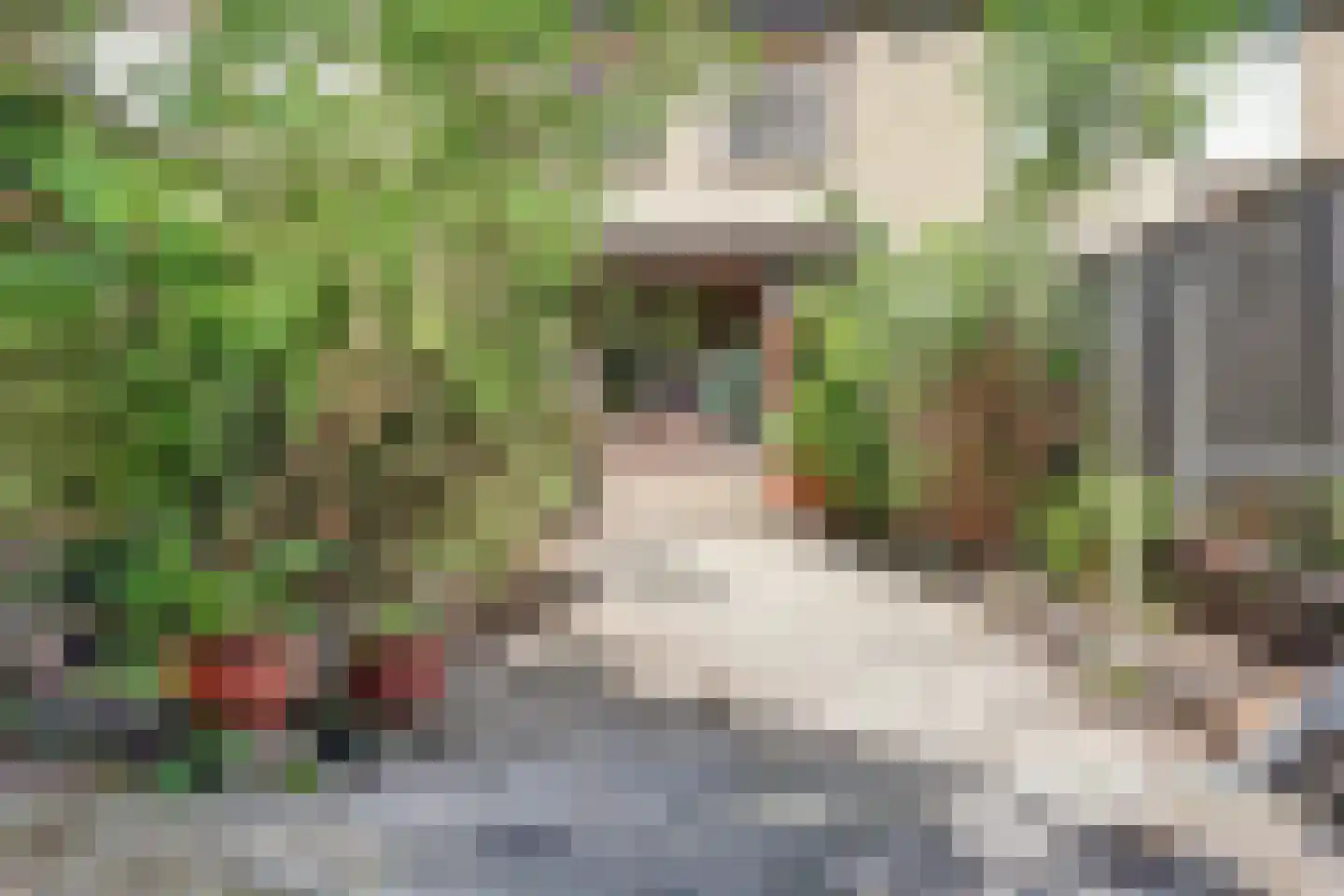 Maasstraat 25 Rozenburg thumbnail 13