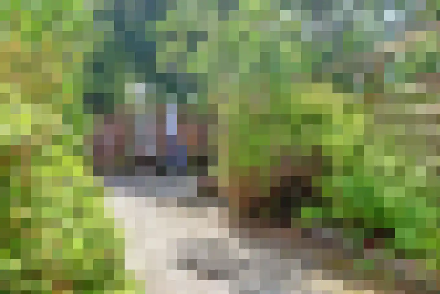Maasstraat 25 Rozenburg thumbnail 14