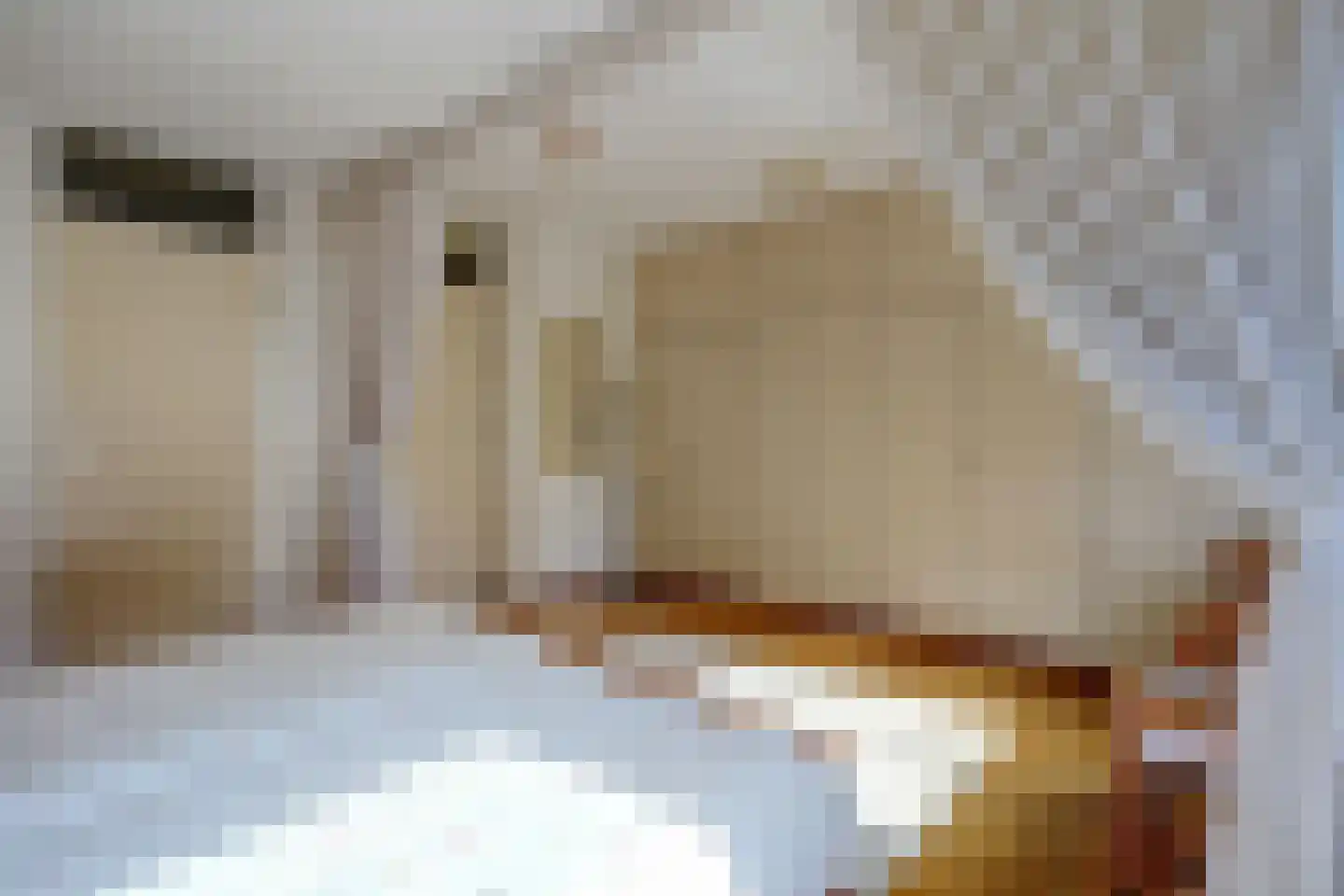 Maasstraat 25 Rozenburg thumbnail 24