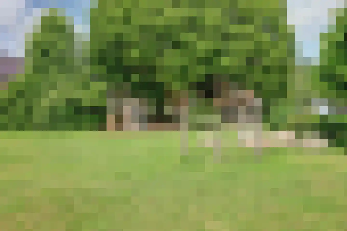 Maasstraat 25 Rozenburg thumbnail 45