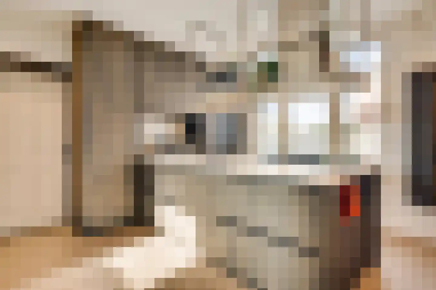 Maasstraat 26 Kessel thumbnail 14