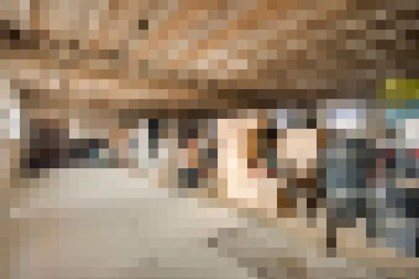Maasstraat 26 Kessel thumbnail 43