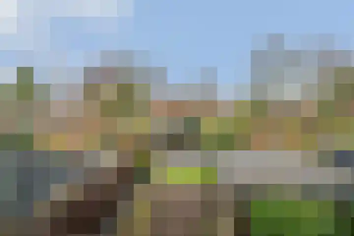 Maasstraat 26 Steyl thumbnail 27