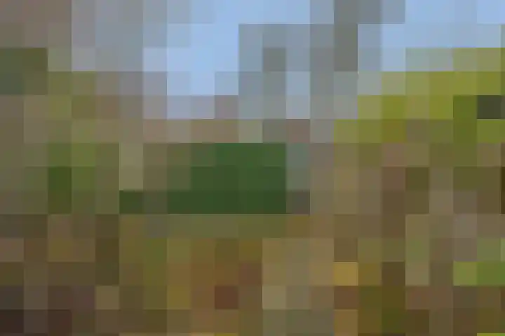 Maasstraat 26 Steyl thumbnail 31