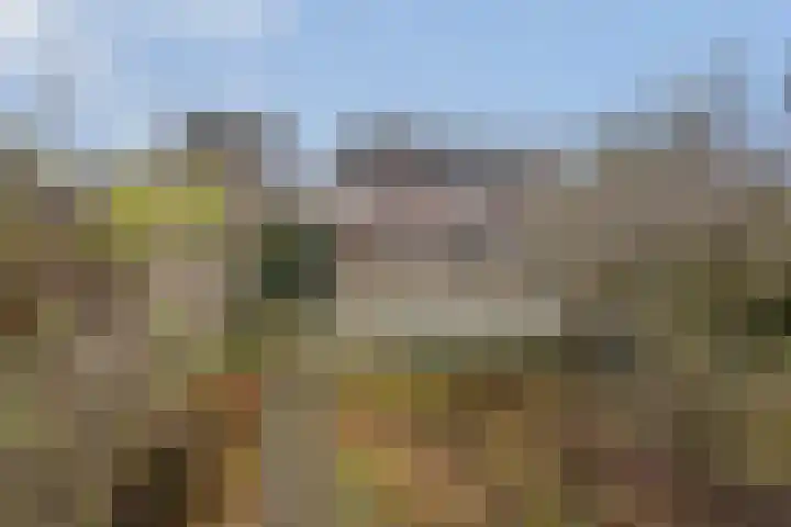 Maasstraat 26 Steyl thumbnail 32