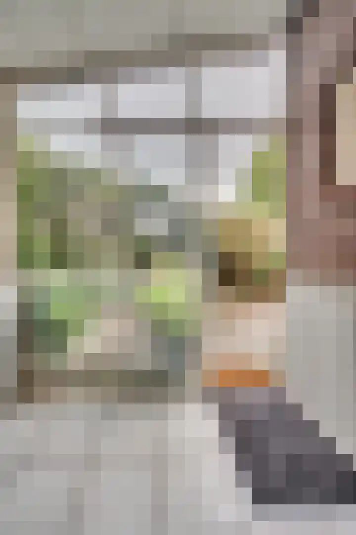 Maasstraat 27 Broekhuizenvorst thumbnail 14