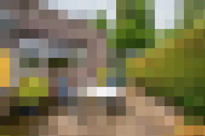 Maasstraat 27 Broekhuizenvorst thumbnail 15