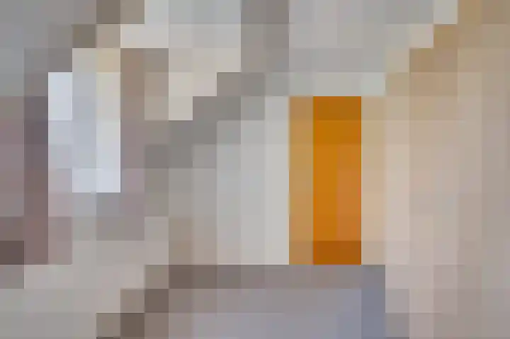 Maasstraat 27 Broekhuizenvorst thumbnail 21