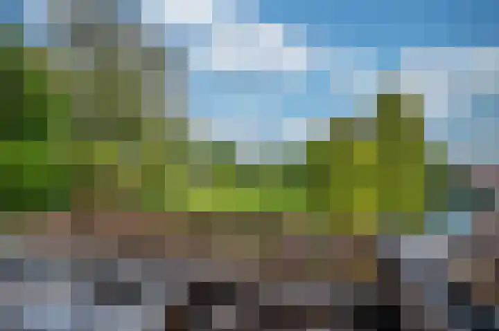 Maasstraat 27 Broekhuizenvorst thumbnail 28