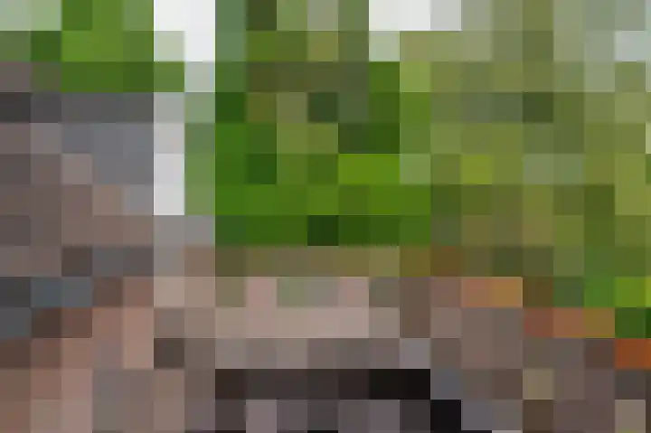 Maasstraat 27 Broekhuizenvorst thumbnail 29
