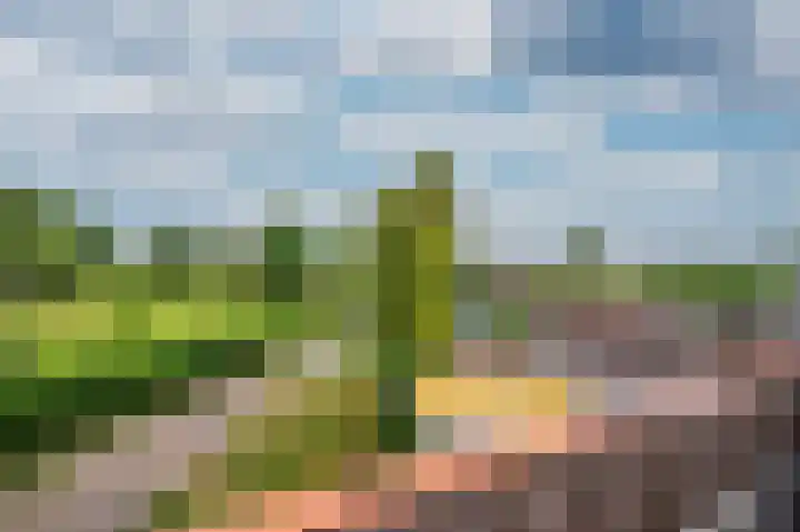 Maasstraat 27 Broekhuizenvorst thumbnail 30