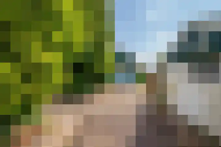 Maasstraat 27 Broekhuizenvorst thumbnail 33