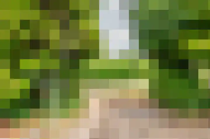 Maasstraat 27 Broekhuizenvorst thumbnail 34