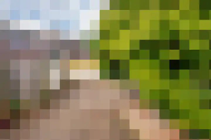 Maasstraat 27 Broekhuizenvorst thumbnail 35