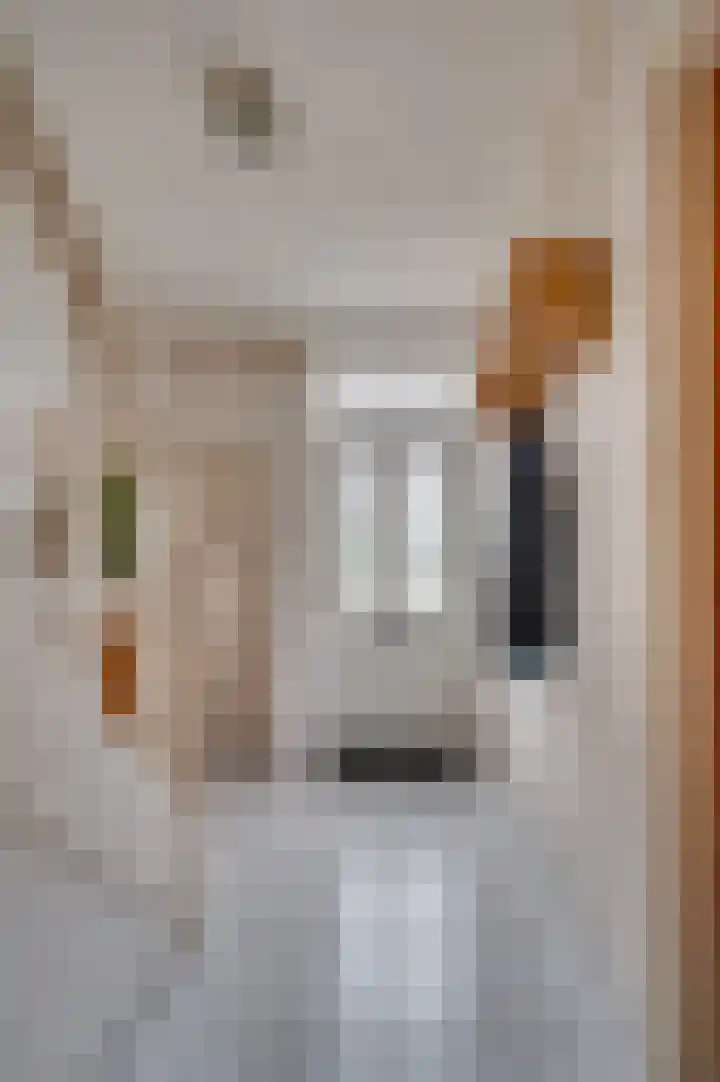 Maasstraat 27 Broekhuizenvorst thumbnail 4