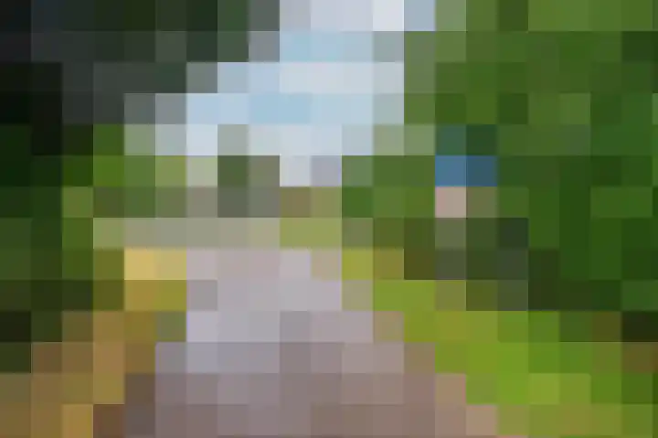 Maasstraat 27 Broekhuizenvorst thumbnail 43