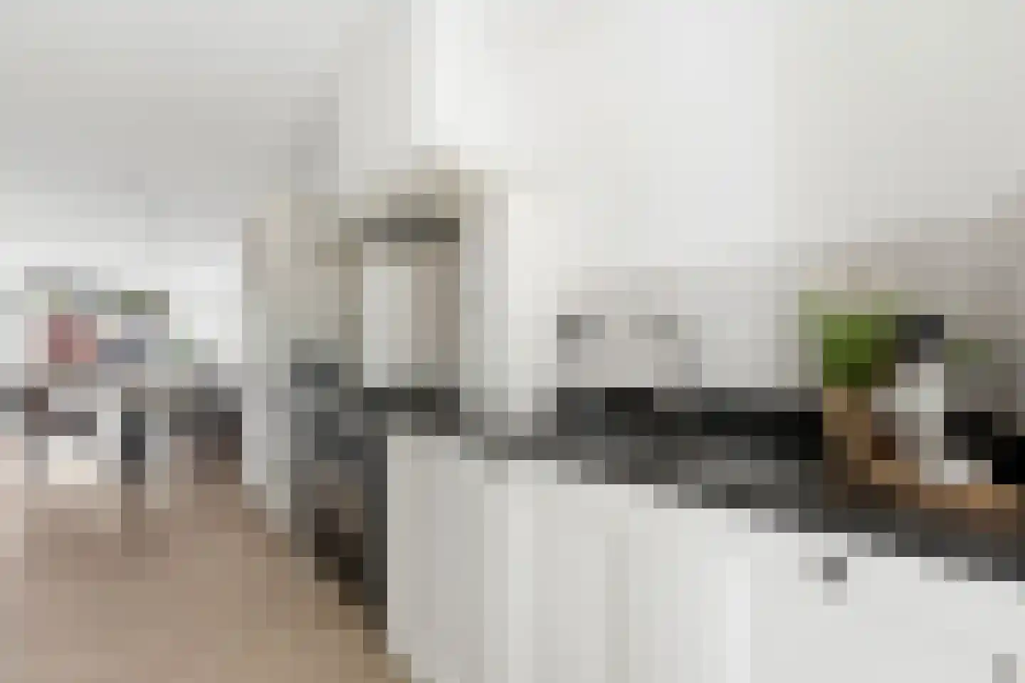 Maasstraat 28 Alblasserdam thumbnail 14