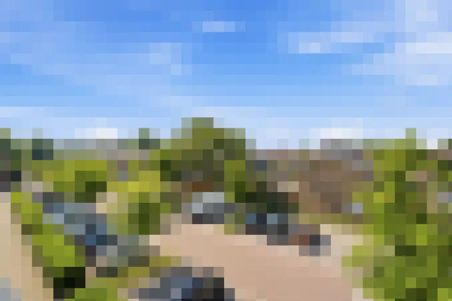 Maasstraat 28 Alblasserdam thumbnail 31