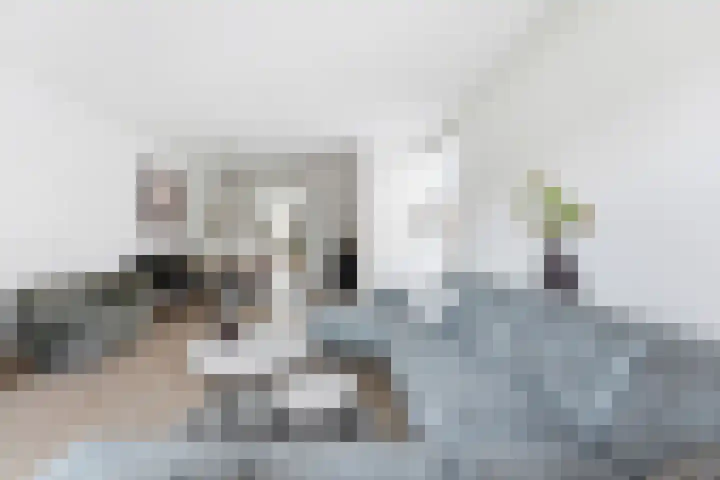 Maasstraat 28 Alblasserdam thumbnail 6