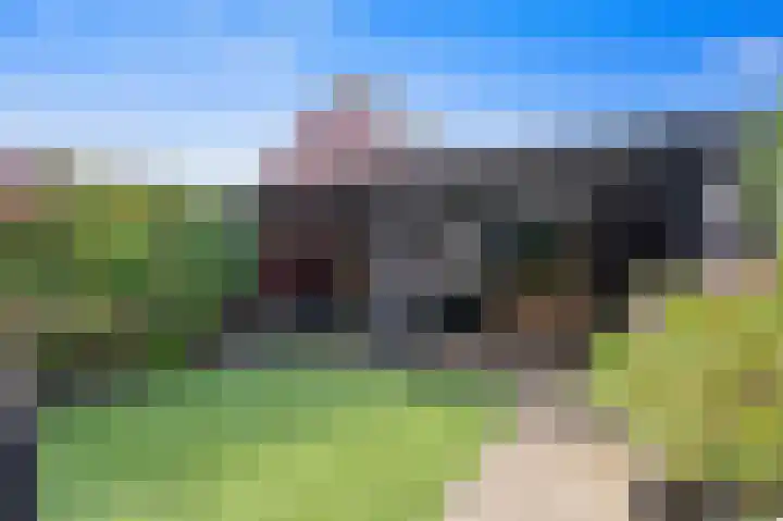 Maasstraat 28 Rozenburg thumbnail 11
