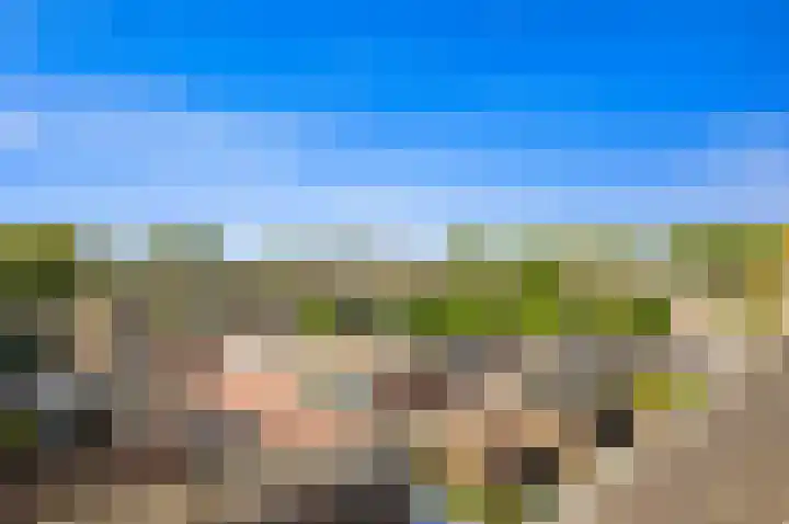 Maasstraat 28 Rozenburg thumbnail 36