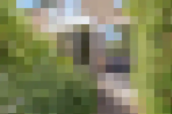 Maasstraat 28 Rozenburg thumbnail 4