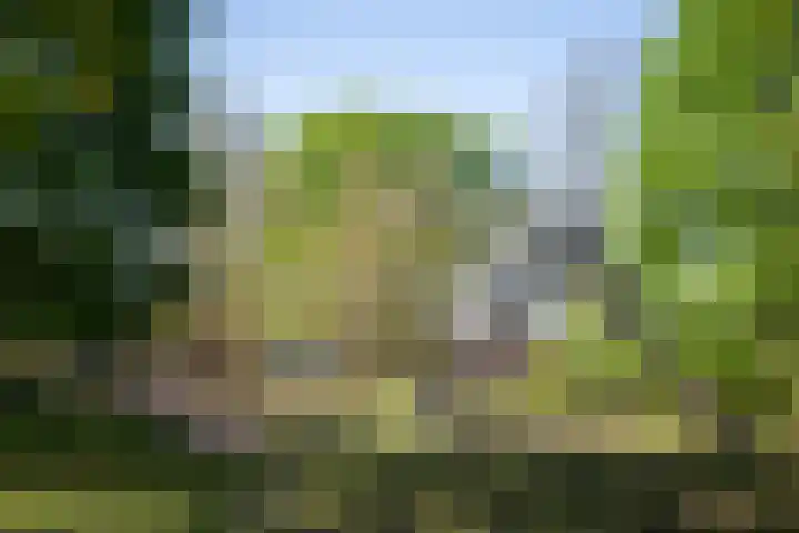 Maasstraat 29 Apeldoorn thumbnail 22