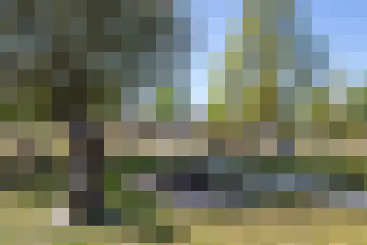 Maasstraat 29 Apeldoorn thumbnail 23
