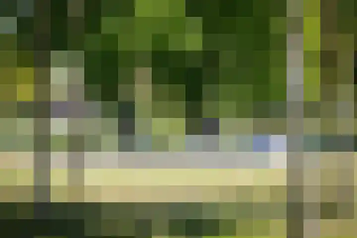 Maasstraat 29 Apeldoorn thumbnail 26