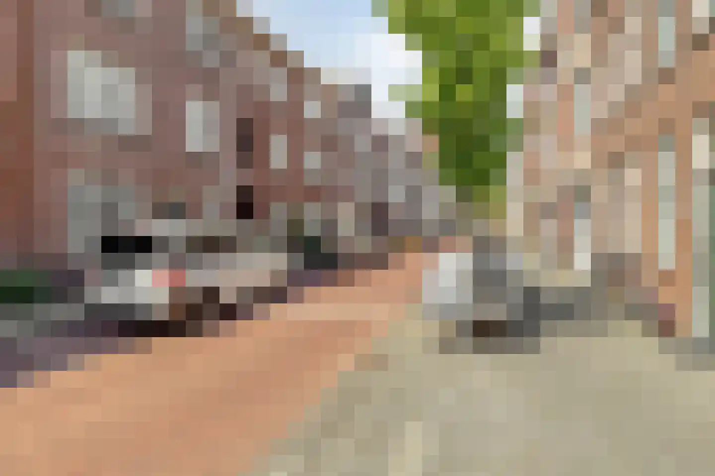 Maasstraat 293 Den Haag thumbnail 31