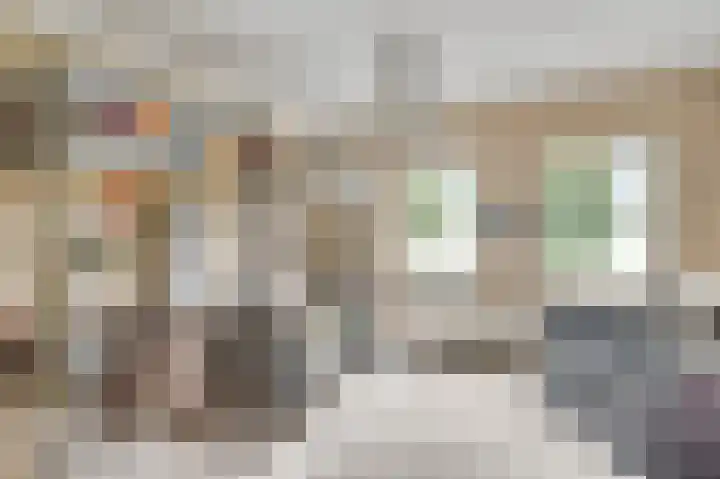 Maasstraat 3 a Wessem thumbnail 18