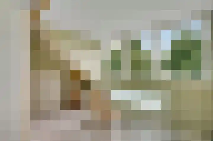 Maasstraat 3 a Wessem thumbnail 29