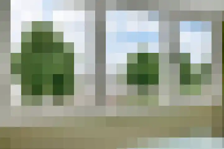 Maasstraat 3 a Wessem thumbnail 30