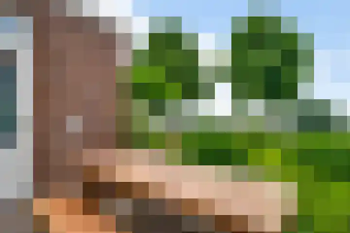 Maasstraat 3 a Wessem thumbnail 31