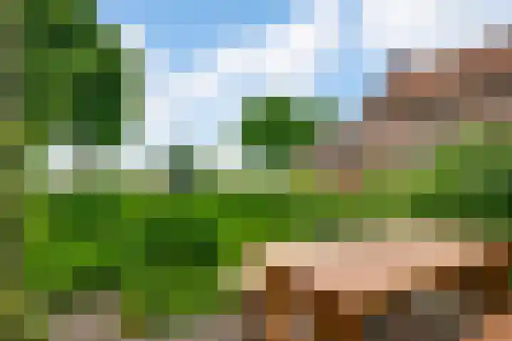 Maasstraat 3 a Wessem thumbnail 32