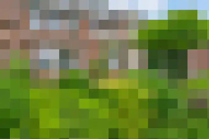 Maasstraat 3 a Wessem thumbnail 34