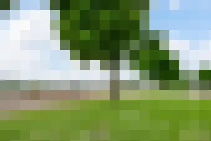 Maasstraat 3 a Wessem thumbnail 37