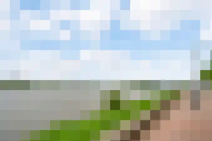 Maasstraat 3 a Wessem thumbnail 38