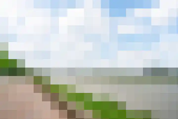 Maasstraat 3 a Wessem thumbnail 39