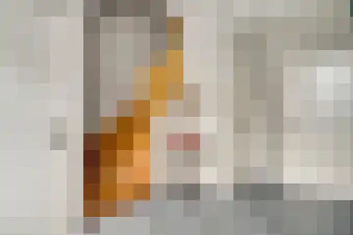 Maasstraat 3 a Wessem thumbnail 6