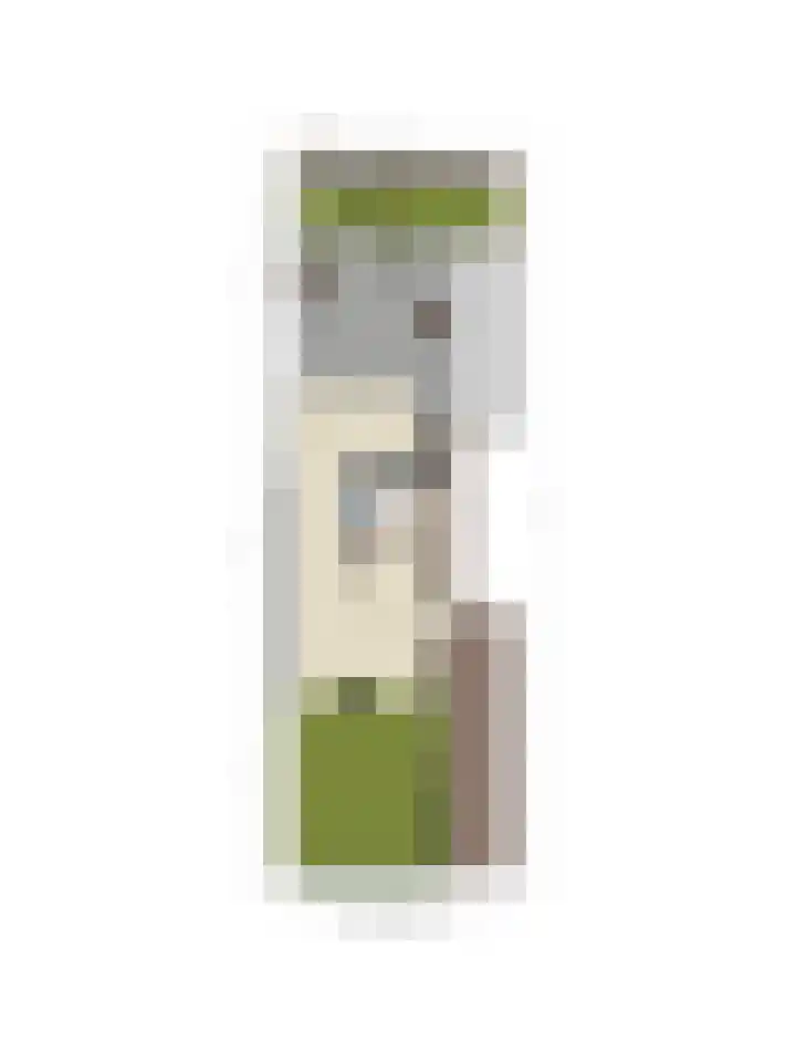 Maasstraat 3 Barendrecht thumbnail 36