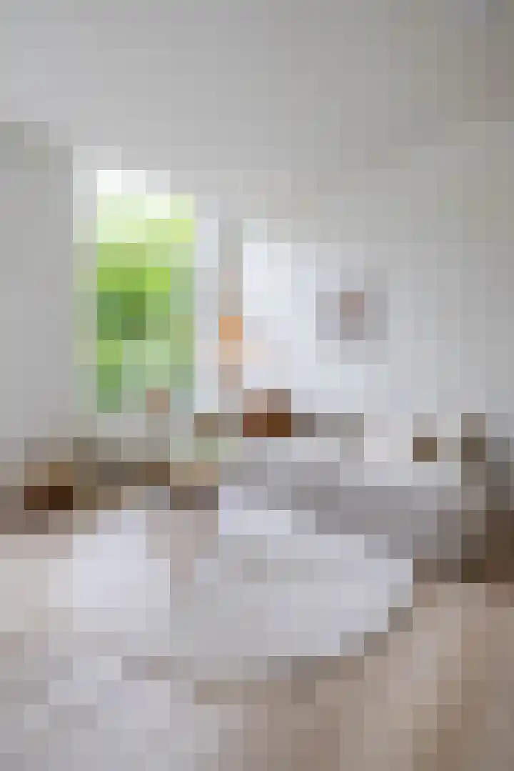 Maasstraat 3 E Rotterdam thumbnail 5