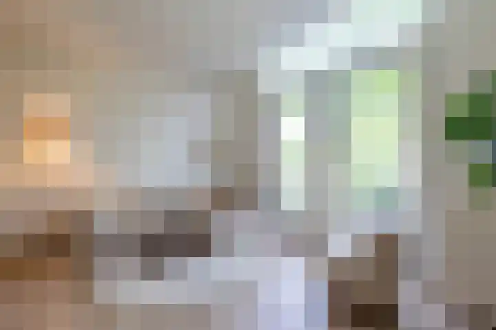 Maasstraat 3 E Rotterdam thumbnail 8