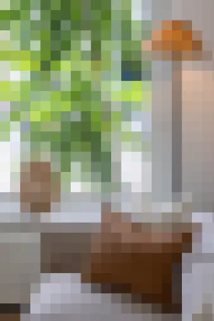 Maasstraat 3 E Rotterdam thumbnail 8
