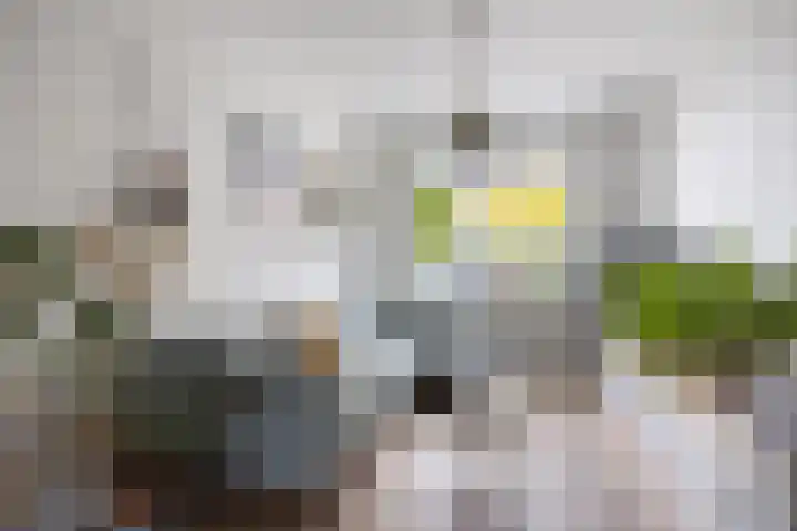 Maasstraat 3 Nijmegen thumbnail 10