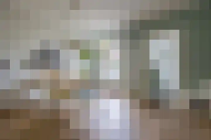 Maasstraat 3 Nijmegen thumbnail 12