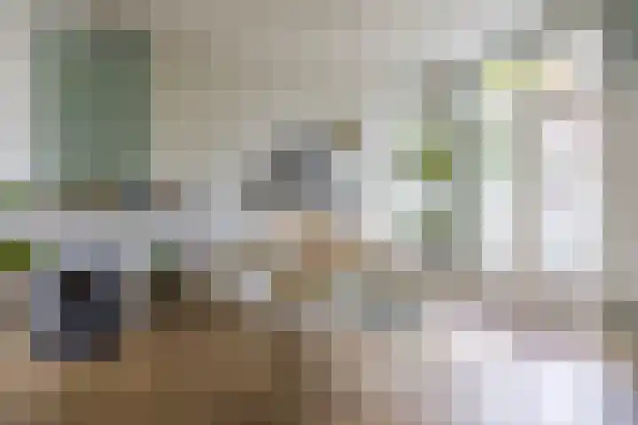 Maasstraat 3 Nijmegen thumbnail 13